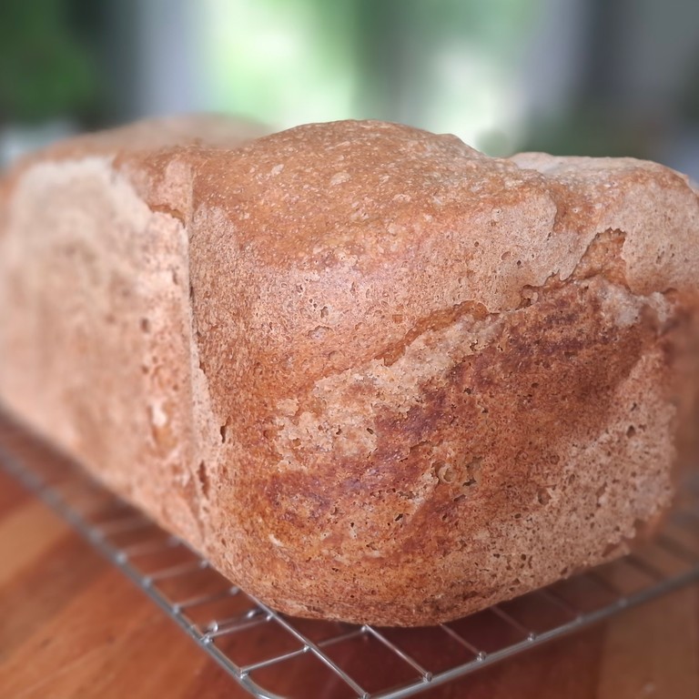 Pan Integral Panetera Moulinex