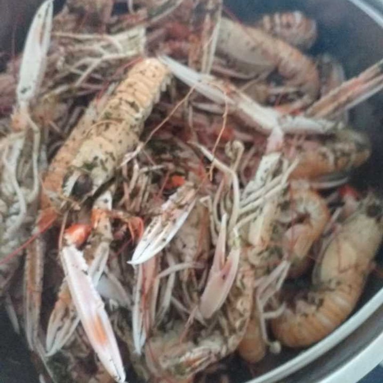 Langoustines nature (Cookeo)