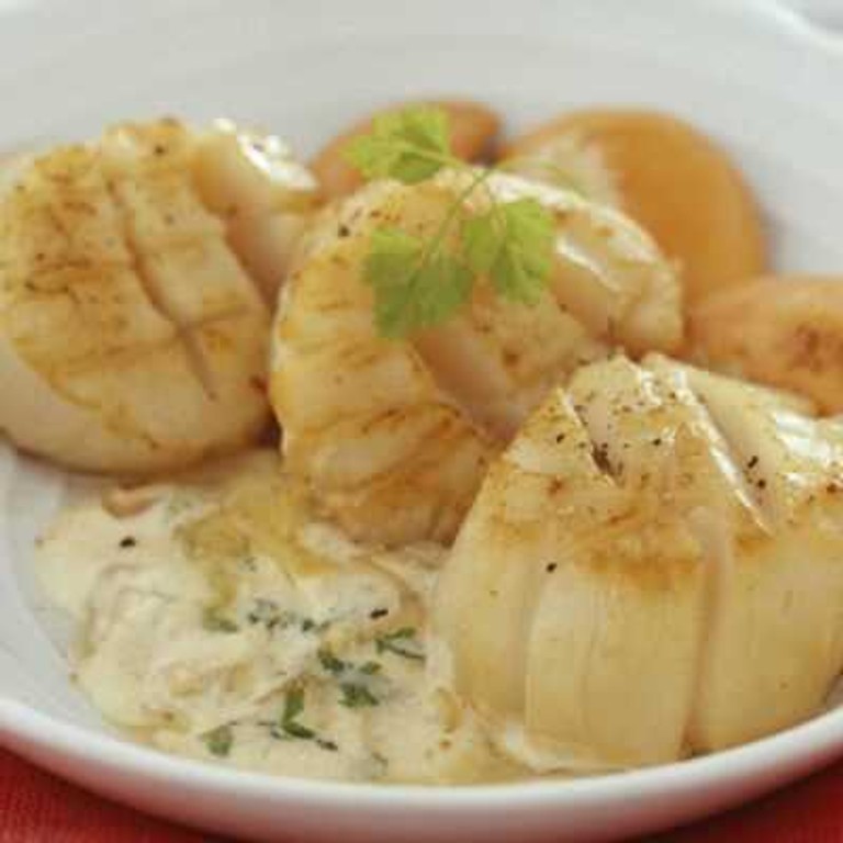 Saint-Jacques au cidre