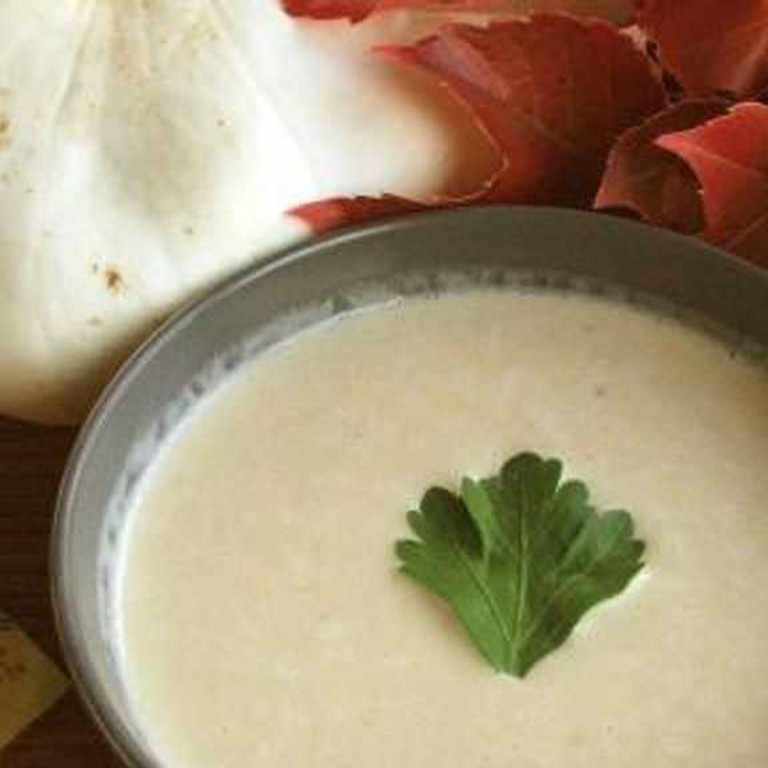 Velouté de pâtisson