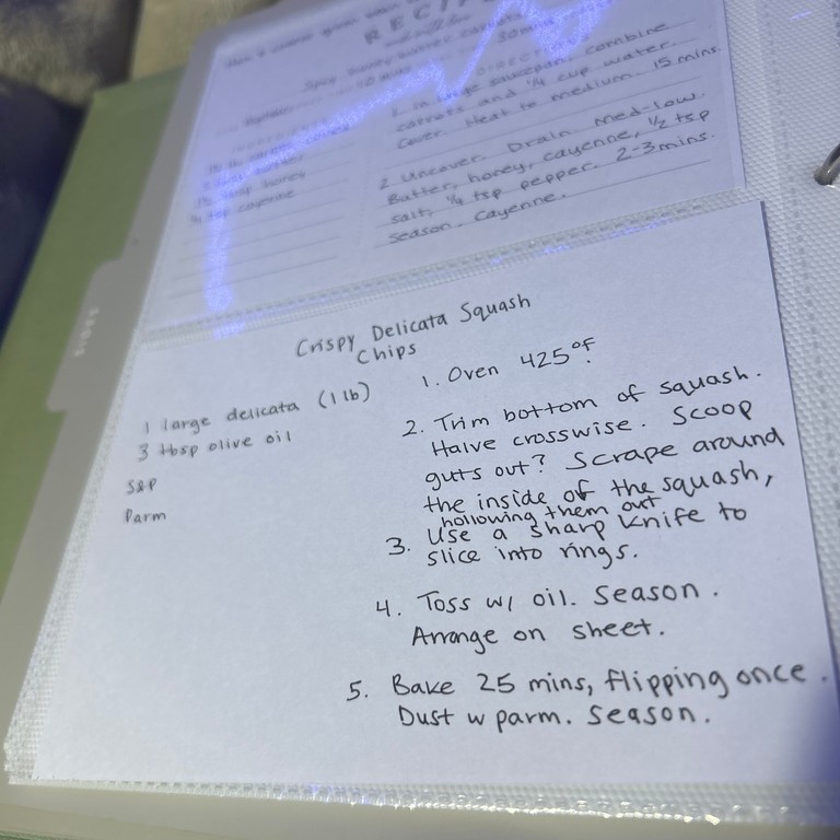 Crispy Delicata Squash Chips