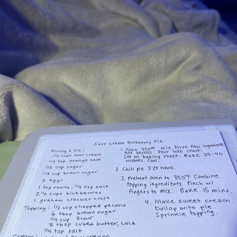 Sour Cream Blueberry Pie