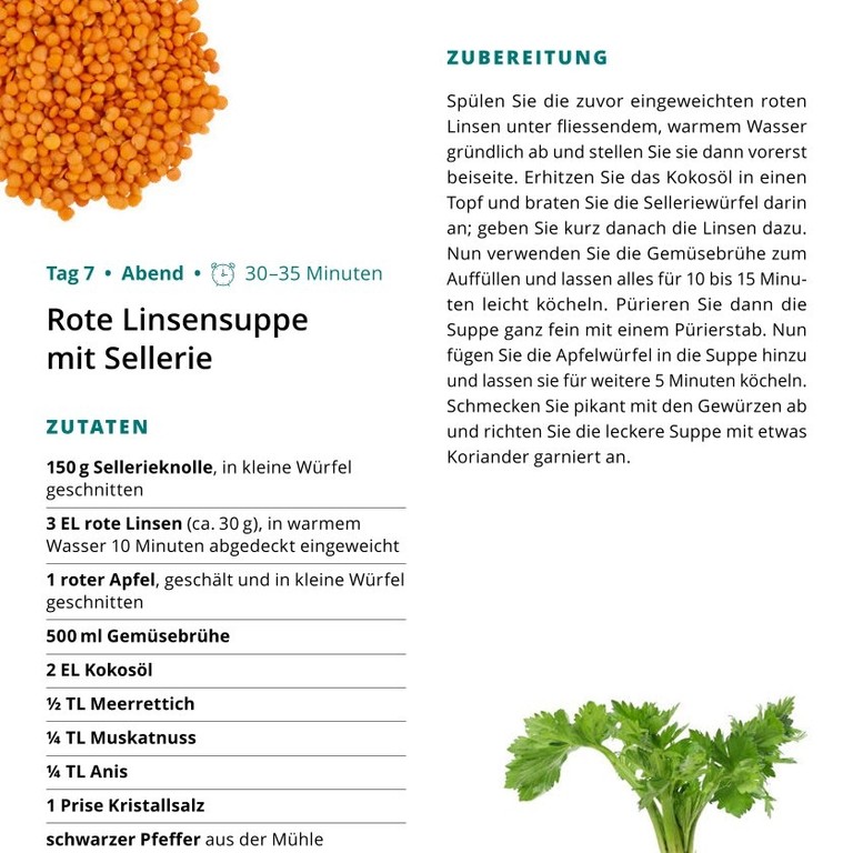 W1 T7.2 Rote Linsensuppe mit Sellerie