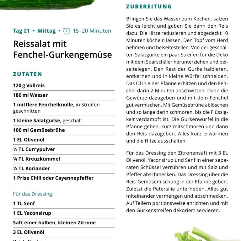 W3 T21.1 Reissalat mit Fenchel-Gurken-Gemüse