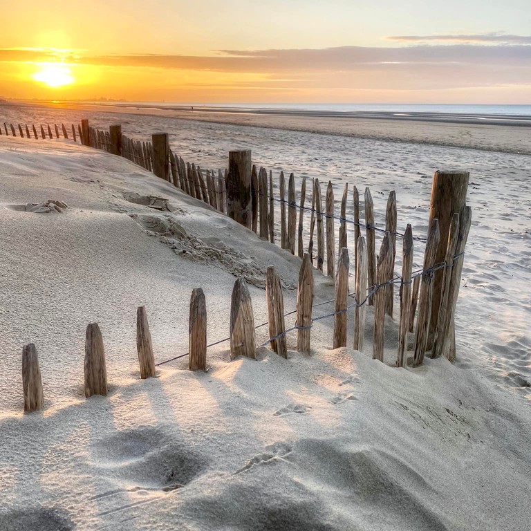 Pizza Margherita Authentique