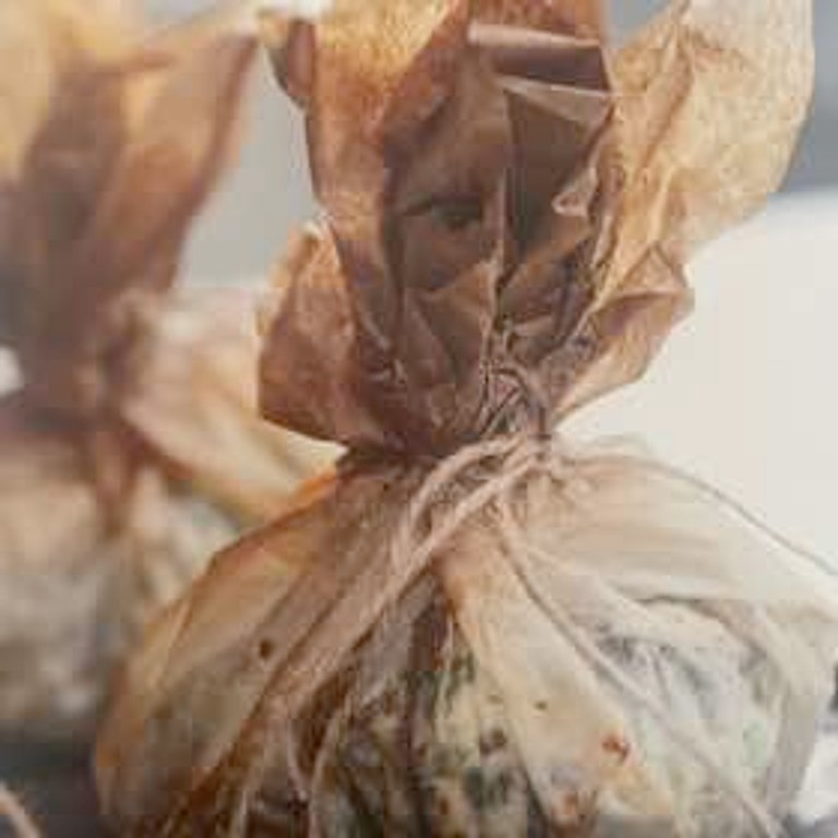 Aumônières de champignons sauvages