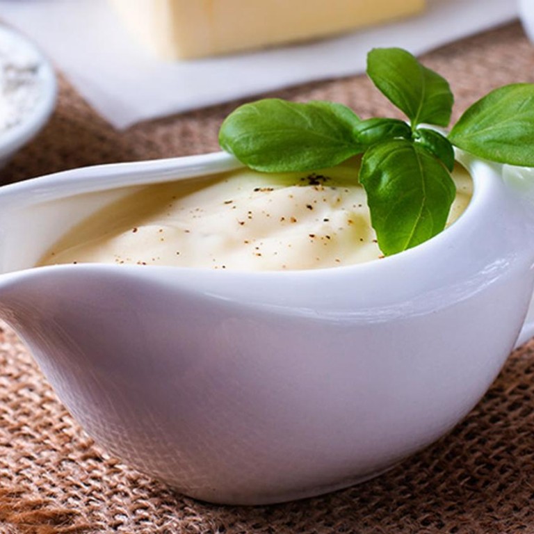 Salsas Madre Bechamel - 013G1