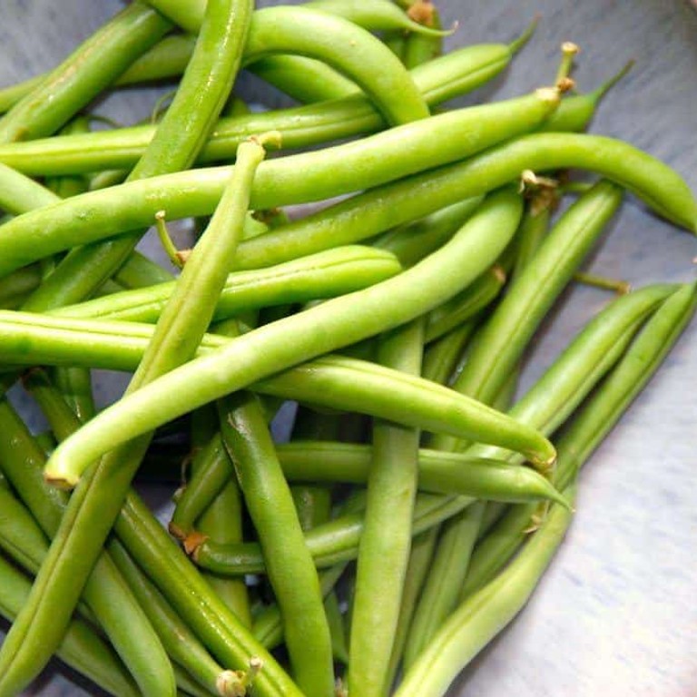 Kogning af grønne bønner